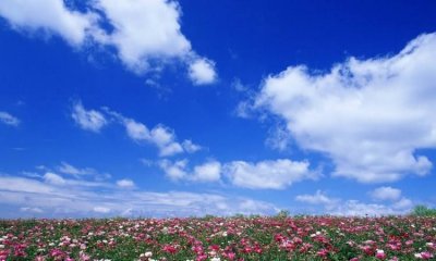 ​《天之大》赏析