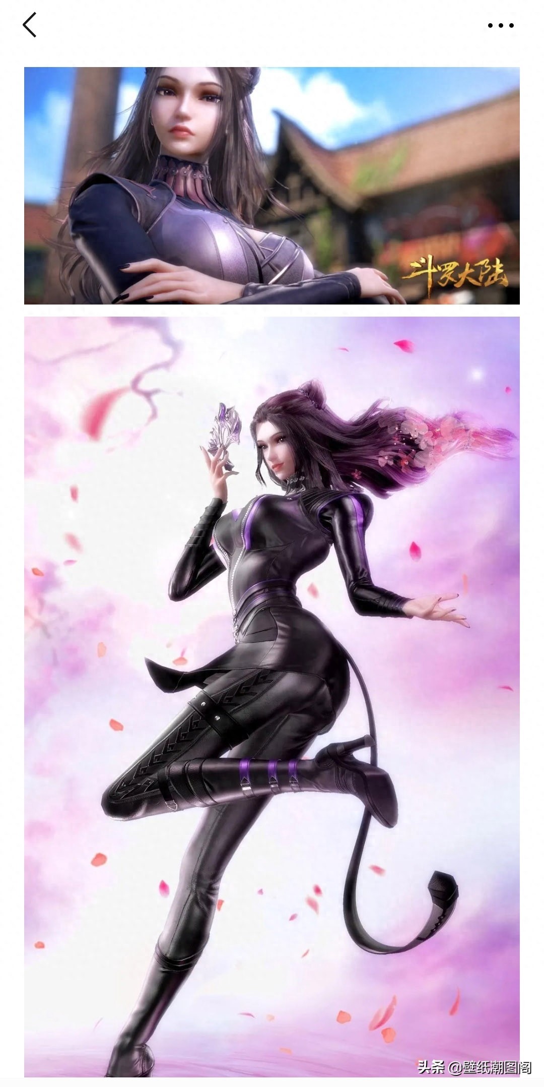 壁纸头像|斗罗大陆部分图集 5.2图