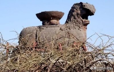 ​沧州10大最好玩的地方，纪晓岚文化园必去，河间府署也不错