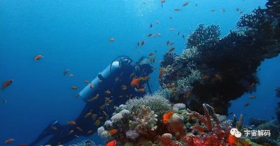 ​为什么工地“水鬼”上不来就割氧气罐，不能上面人拉上去吗？