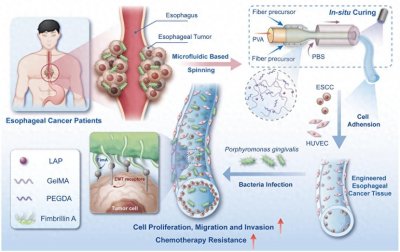​食管癌仿生器官芯片，为患者提供更精准诊疗服务