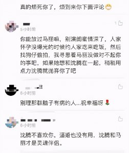 沈腾老婆被网友痛骂：烦死你了！沈腾和马丽才应该是一对