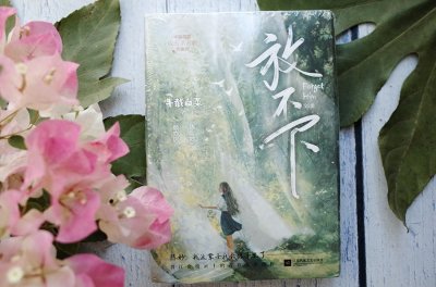 ​半截白菜的现代言情文《放不下》：一个霸道总裁追妻火葬场的故事