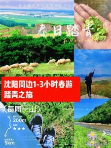 ​沈阳周边15个我私藏踏青美景，一秒入春天