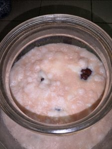 ​不期而遇的醋蛾子