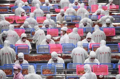 ​簋街上的网红“麻小”，可能是从这儿来的