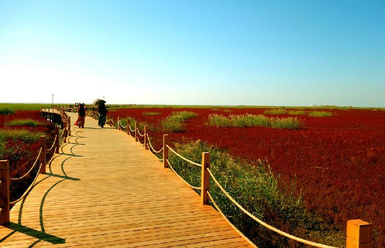 3、红海滩生态旅游度假村