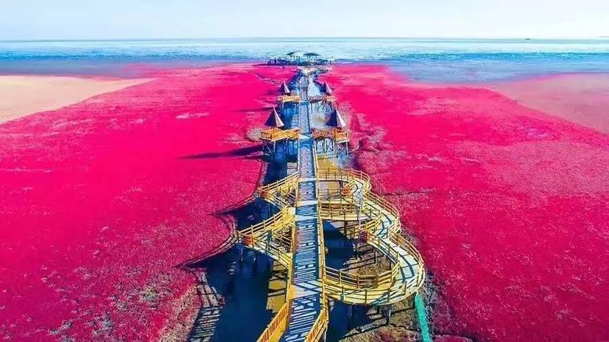 5、乘大巴车至红海滩站