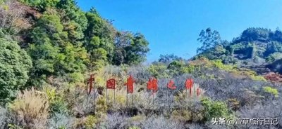 ​一月的陆河，梅花盛开的季节