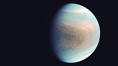 金星存在生命信号(金星上出现生命)(1)