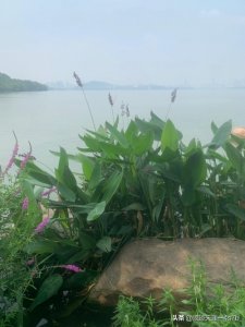 ​东湖磨山风景区