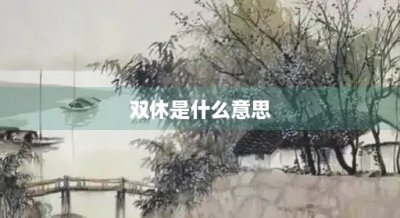 ​双休是什么意思(大小周