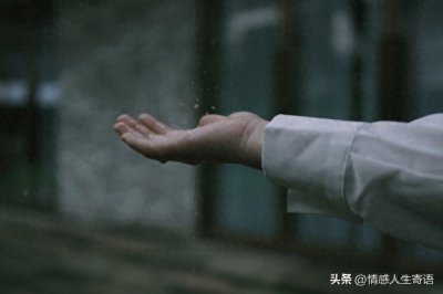 ​匆匆一年又要过去了的